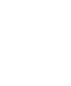 Icono-2